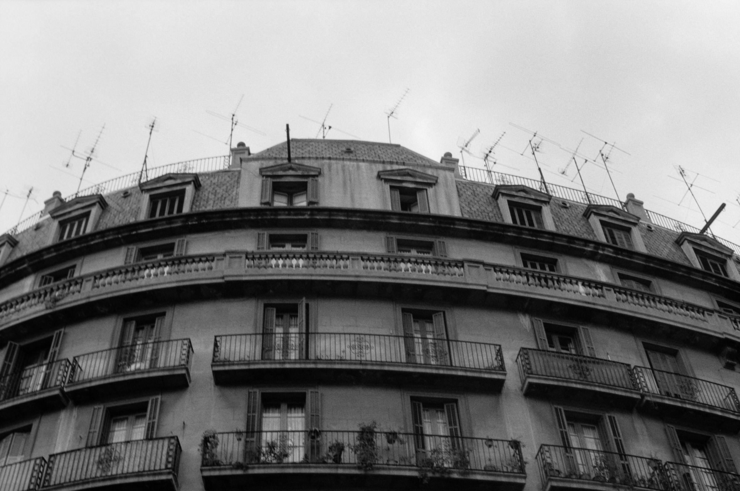 AHP F1995 10 001 sc240815 img37 NLP